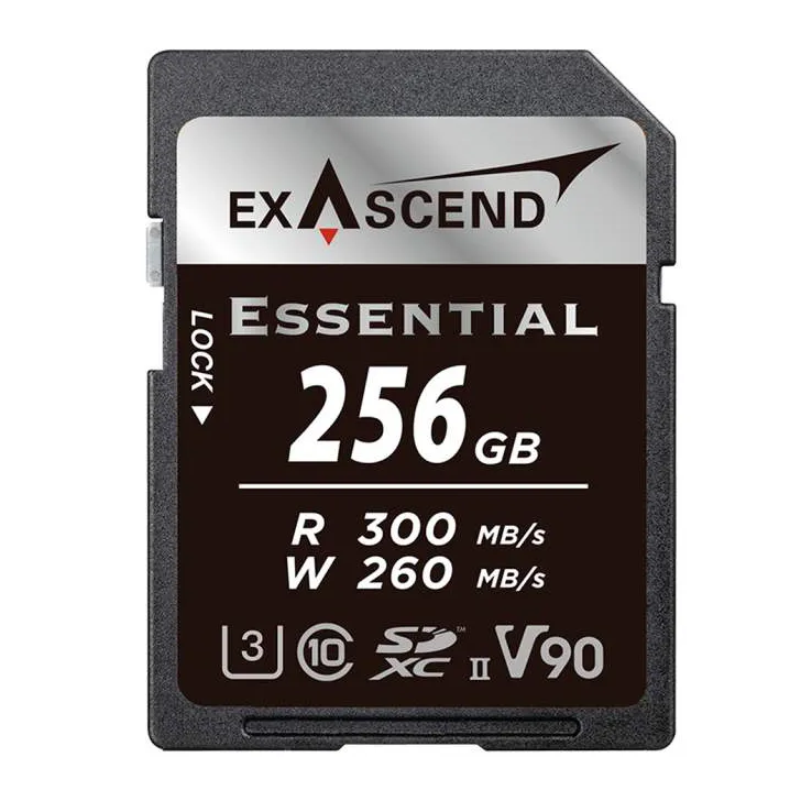 Карта памяти SD Exascend Essential 256Gb EX256GSDU2-S